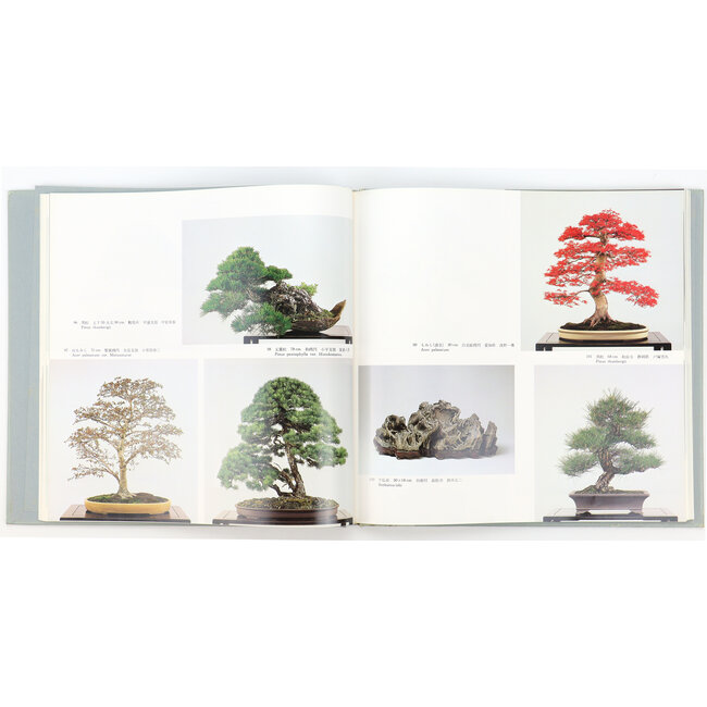 5e internationale bonsai- en suiseki-tentoonstelling | Nippon Bonsai Association | Japan | hardcover met hoes