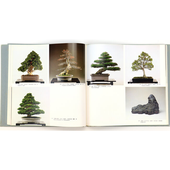 5ème exposition internationale de bonsaï et suiseki | Association Nippon Bonsai | Japon | couverture rigide avec pochette