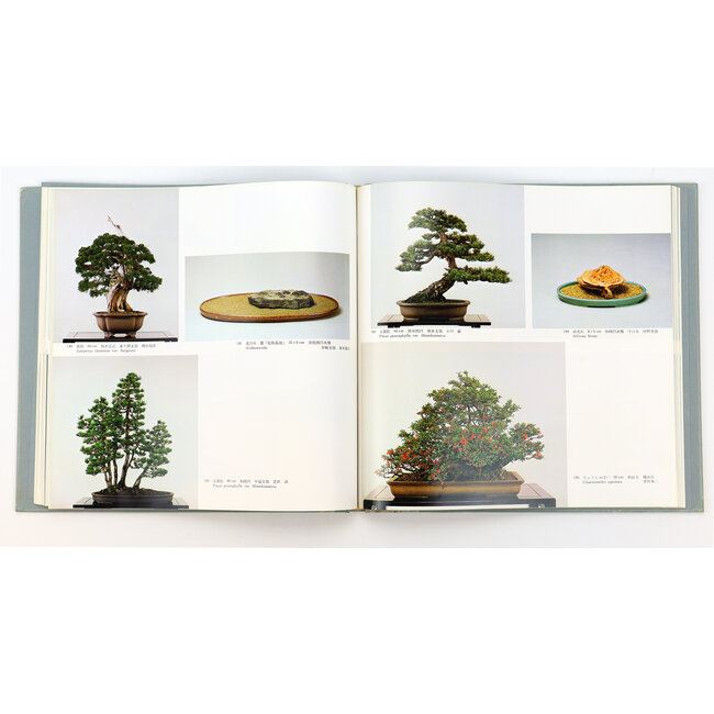 5ª exposición internacional de bonsáis y suiseki | Asociación Nippon Bonsai | Japón | tapa dura con funda