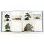 5. internationale Bonsai- und Suiseki-Ausstellung | Nippon Bonsai Association | Japan | Hardcover mit Ärmel