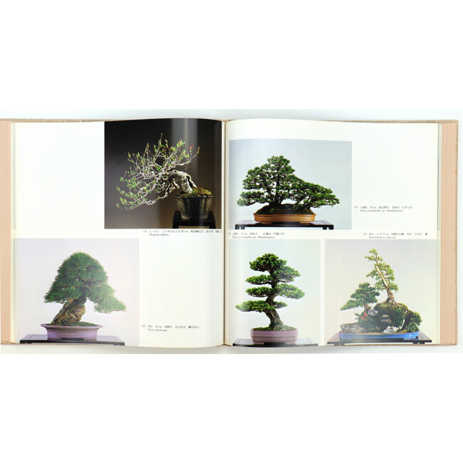 7th international bonsai and suiseki exhibition | Nippon Bonsai Association | Japan | hardcover with sleeve
