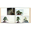 7th international bonsai and suiseki exhibition | Nippon Bonsai Association | Japan | hardcover with sleeve