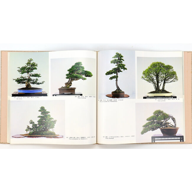 7ª exposición internacional de bonsáis y suiseki | Asociación Nippon Bonsai | Japón | tapa dura con funda