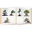 7e internationale bonsai- en suiseki-tentoonstelling | Nippon Bonsai Association | Japan | hardcover met hoes