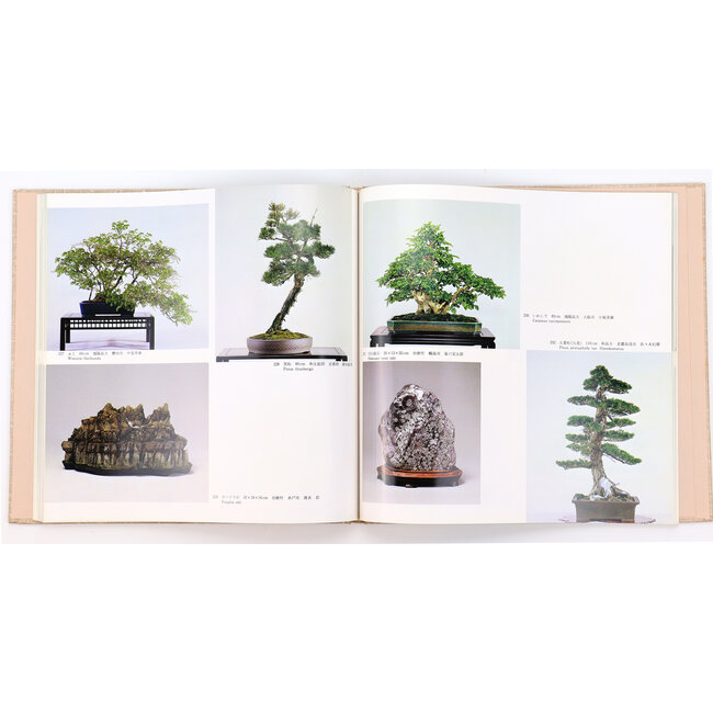 7ª exposición internacional de bonsáis y suiseki | Asociación Nippon Bonsai | Japón | tapa dura con funda