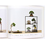 Shuga-ten no. 21 (2013) | Asociación Nippon Bonsai | Japón | libro de bolsillo