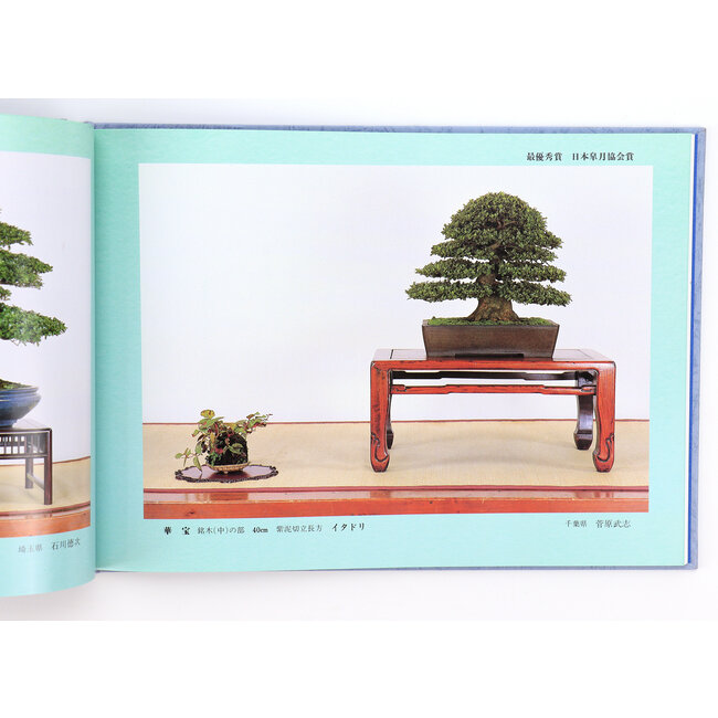 Asociación Satsuki no. 3 (1999) | Asociación Satsuki | Asociación Japonesa de Satsuki | 1999 | Japón | tapa dura con funda