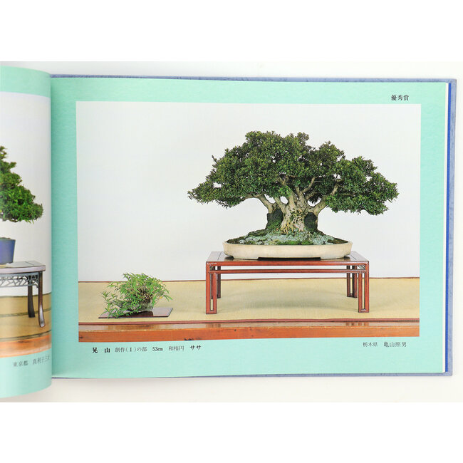 Satsuki association no. 3 (1999) | Satsuki Association | Japanese Satsuki Association | 1999 | Japan | hardcover with sleeve