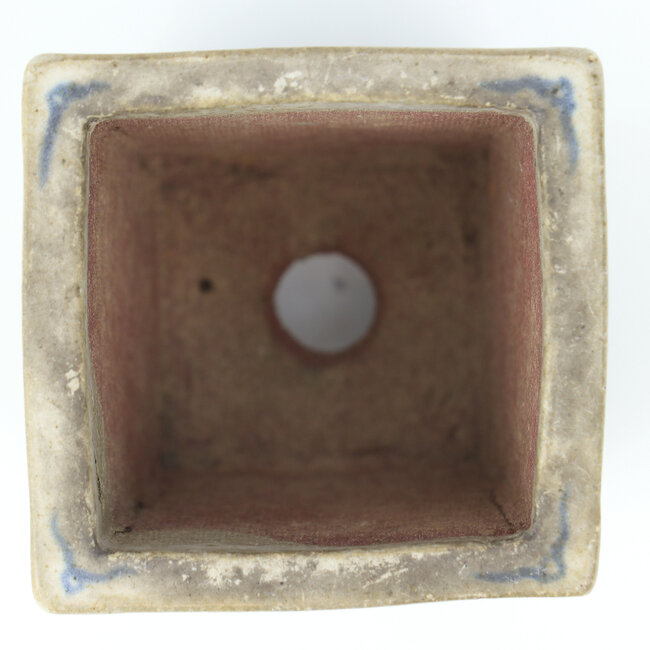 Square multicolor bonsai pot - 52 x 54 x 50 mm