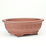 Oval unglazed Itou Tonyo bonsai pot - 145 x 129 x 49 mm