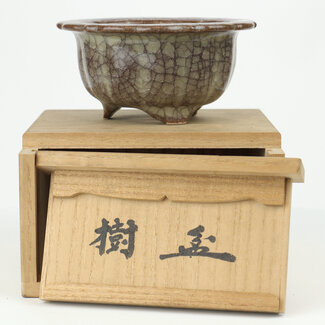 Ito Gekko 117 mm round multicolor bonsai pot by the son of Ito Gekko , Japan
