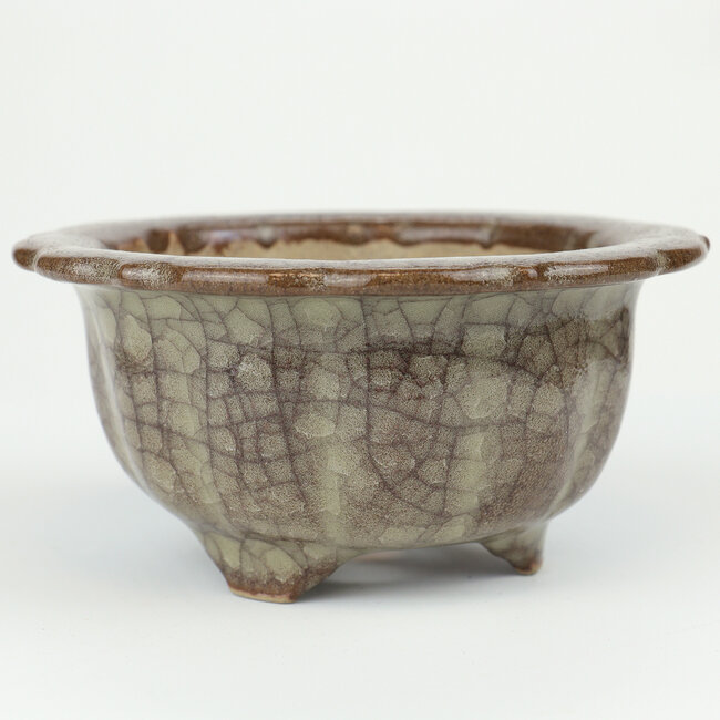 Maceta de bonsai Gekko redonda multicolor - 117 x 117 x 55 mm