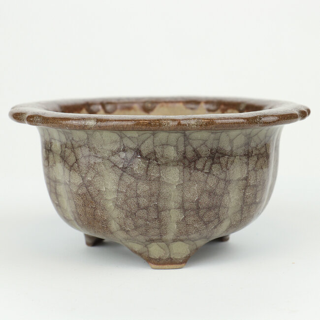 Ronde veelkleurige Gekko bonsaipot - 117 x 117 x 55 mm