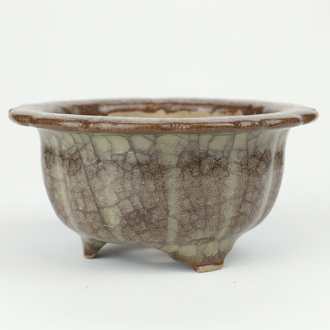 Ronde veelkleurige Gekko bonsaipot - 117 x 117 x 55 mm