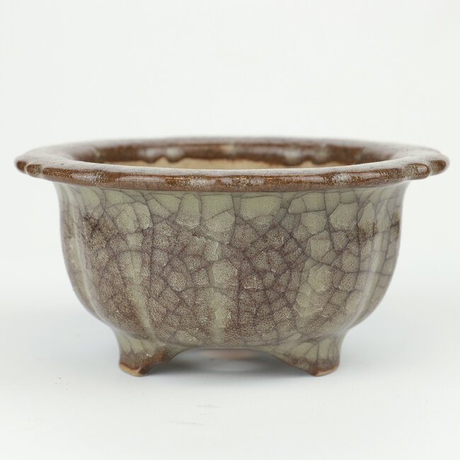 Pot à bonsaï rond multicolore Gekko - 117 x 117 x 55 mm