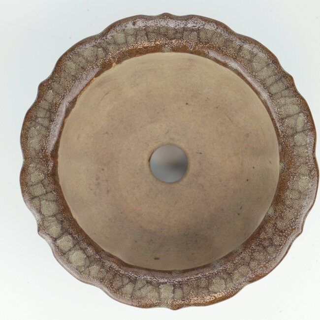 Runder mehrfarbiger Gekko Bonsai Topf - 117 x 117 x 55 mm