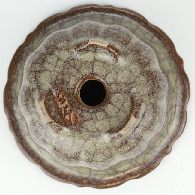 Runder mehrfarbiger Gekko Bonsai Topf - 117 x 117 x 55 mm