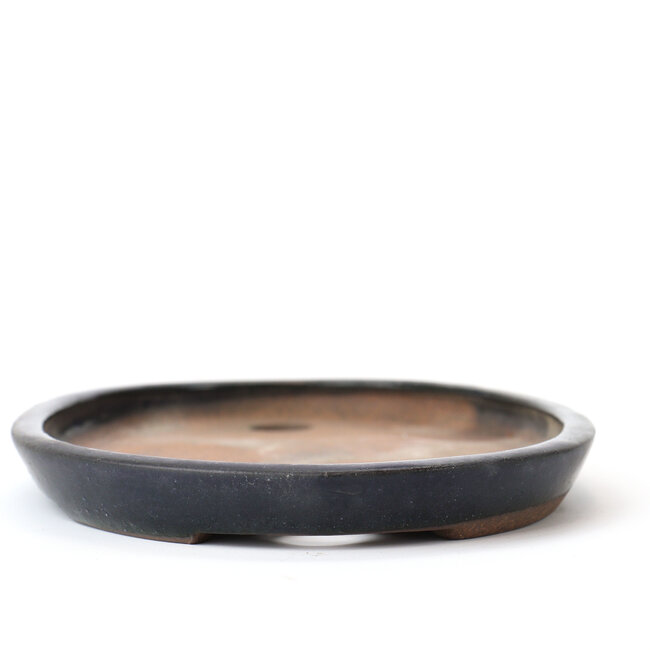 Ovaler blauer Kenzan Bonsai Topf - 176 x 130 x 16 mm