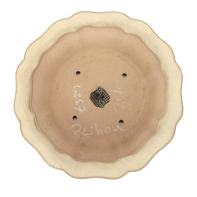 Ronde beige Reiho, tweede generatie bonsaipot - 285 x 285 x 95 mm