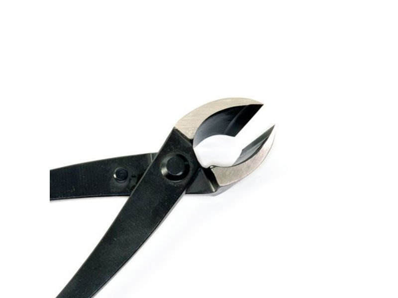 Concave cutter 210mm - Bonsai Plaza