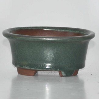  Other Tokoname bonsai pot makers Vaso ovale