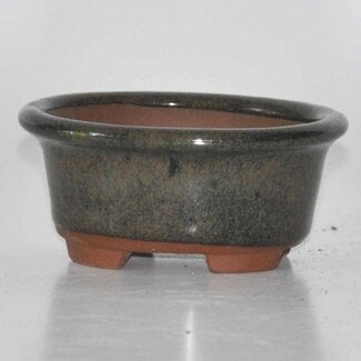  Other Tokoname bonsai pot makers Vaso ovale