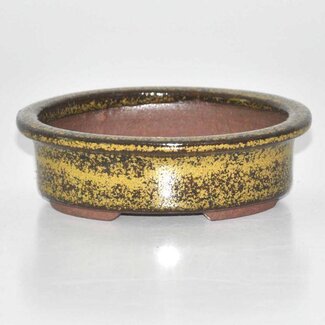  Other Tokoname bonsai pot makers Vaso ovale