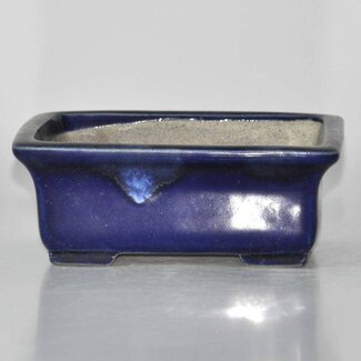 Satomi Mazan, Mazan Terahata Rectangular pot