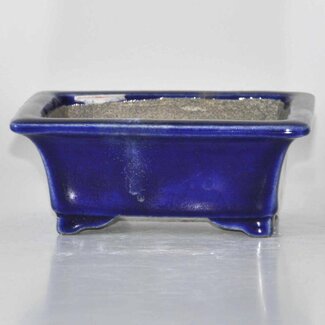  Satomi Mazan, Mazan Terahata Maceta rectangular