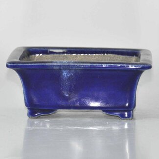  Satomi Mazan, Mazan Terahata Maceta rectangular