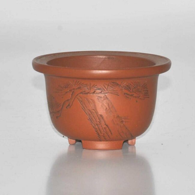 olla ovalada