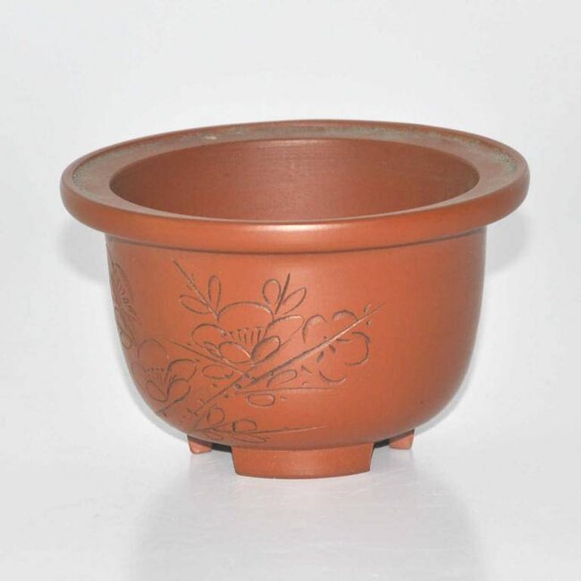 olla ovalada