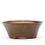 Round brown Bonsai bonsai pot - 115 x 115 x 50 mm