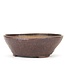 Round brown Bonsai bonsai pot - 110 x 110 x 40 mm