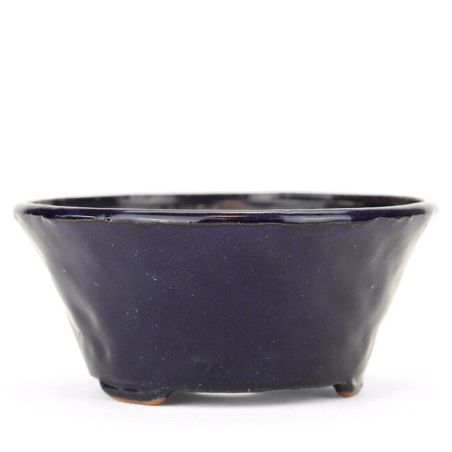 Maceta Bonsai Bonsai azul redonda - 120 x 120 x 55 mm