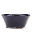 Ronde blauwe Bonsai bonsai pot - 120 x 120 x 55 mm