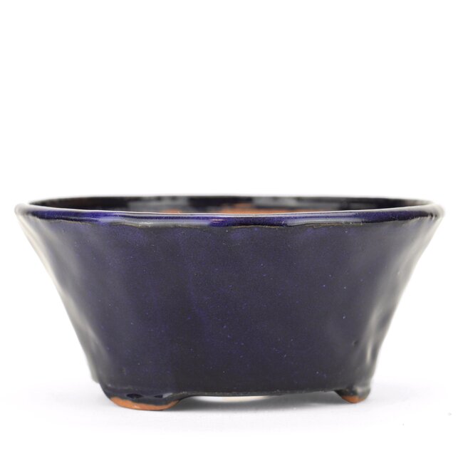 Round blue Bonsai bonsai pot - 120 x 120 x 55 mm