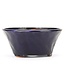 Ronde blauwe Bonsai bonsai pot - 120 x 120 x 55 mm