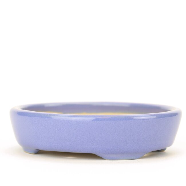 Pot à bonsaï Shouzan ovale bleu - 105 x 85 x 25 mm