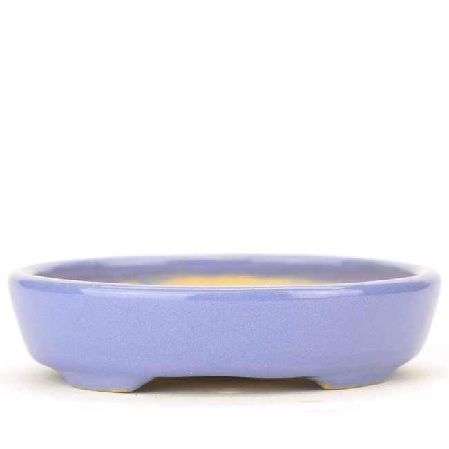 Maceta de bonsái Shouzan azul ovalada - 105 x 85 x 25 mm