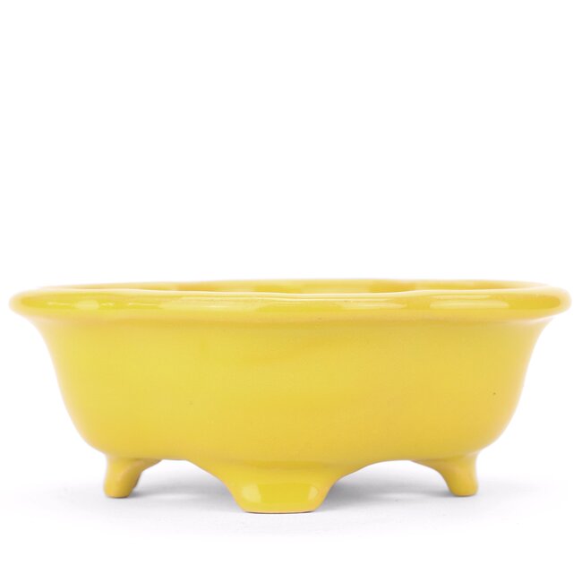 Pot à bonsaï Mokko jaune par Shouzan - 135 x 116 x 52 mm