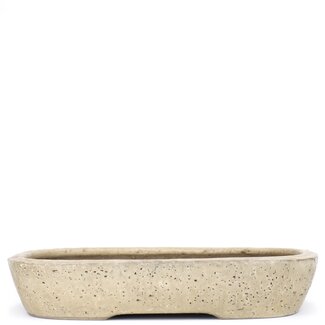 Shuuhou (Hidemi Kataoka) 350 mm rectangular beige bonsai pot by Shuhou, Tokoname, Japan