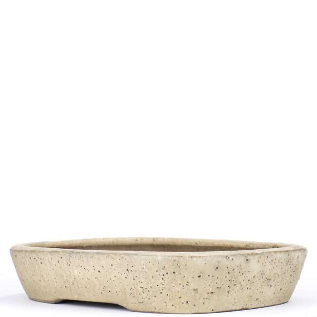 Maceta de bonsai rectangular beige de Shuhou - 350 x 265 x 63 mm