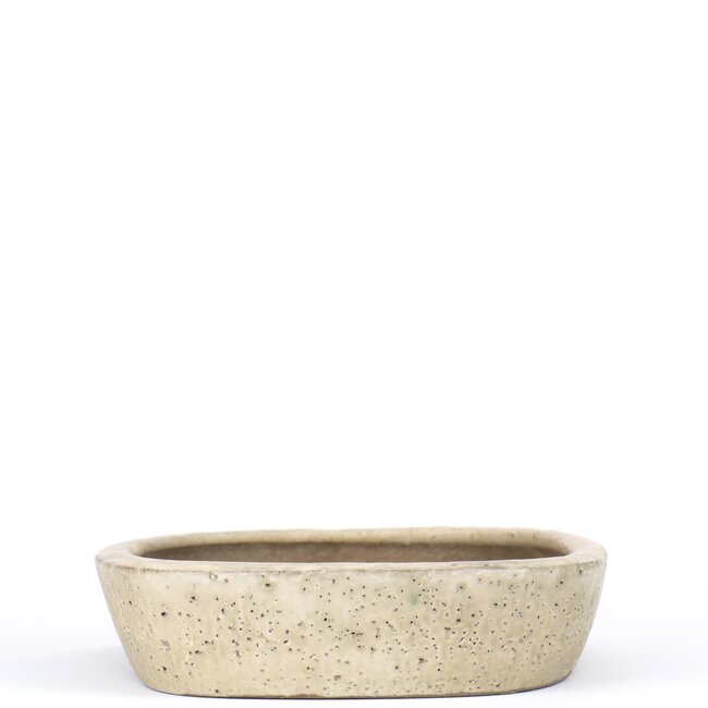 Vaso bonsai rettangolare beige di Shuhou - 350 x 265 x 63 mm