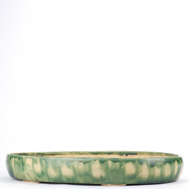 Ovale veelkleurige bonsaipot - 415 x 290 x 60 mm