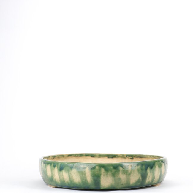 Vaso bonsai ovale multicolore - 415 x 290 x 60 mm