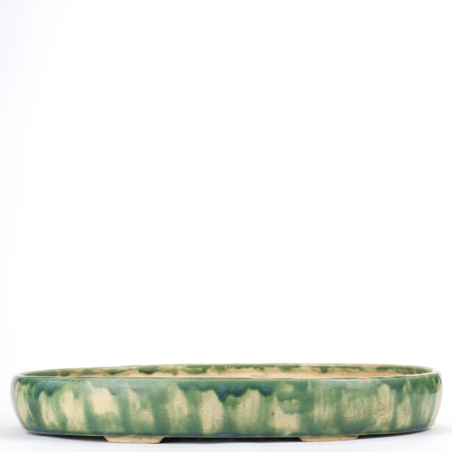 Pot à bonsaï ovale multicolore - 415 x 290 x 60 mm