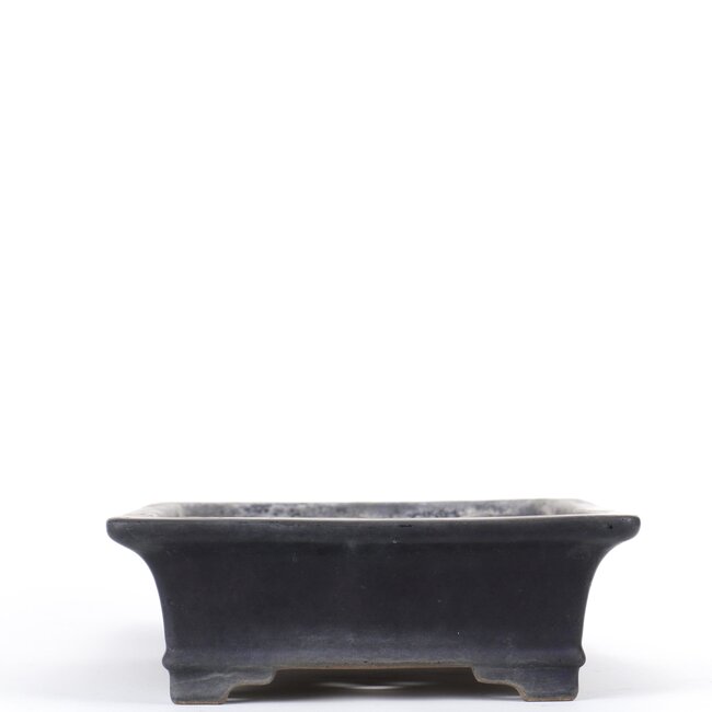 Rechteckiger blauer Bonsai-Topf von Reiho - 345 x 245 x 83 mm