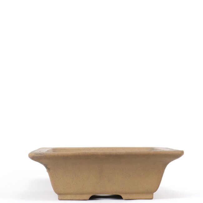 Pot à bonsaï rectangulaire marron par Shoko - 305 x 245 x 78 mm
