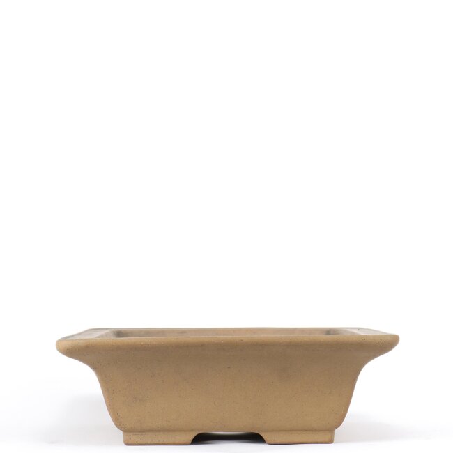 Maceta de bonsai rectangular marrón de Shoko - 305 x 245 x 78 mm